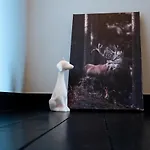 Prázdninový dům La Maison Noire *